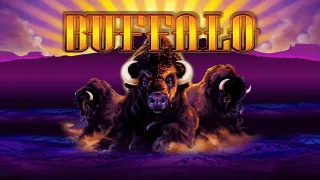 Buffalo