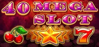 Mega Slot 40