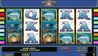 Dolphins